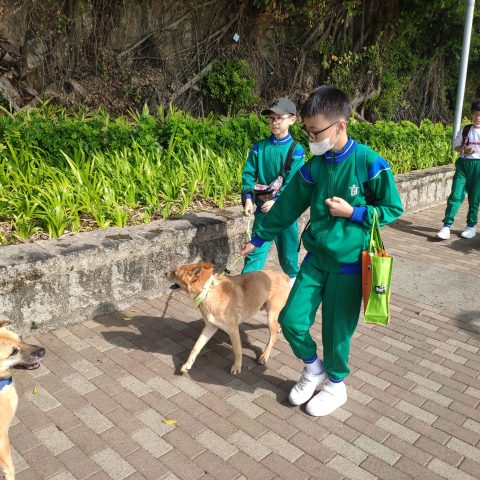 探訪動物中心 - 2