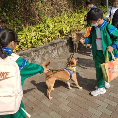 探訪動物中心 - 3