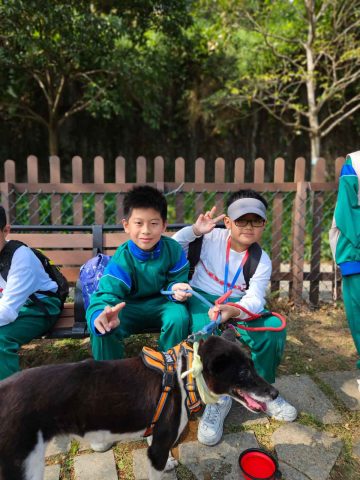 探訪動物中心 - 9