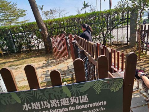 探訪動物中心 - 13