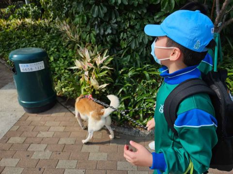 探訪動物中心 - 15