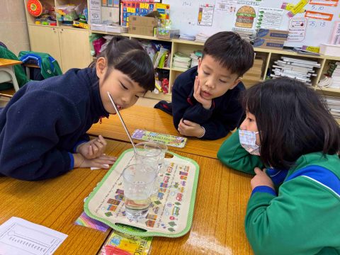 Thermometer experiment - 3