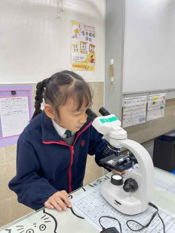 中學初小常識實驗課 - 3