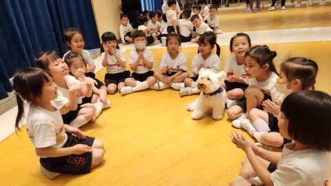 幼稚園K2主題學習活動 - 2