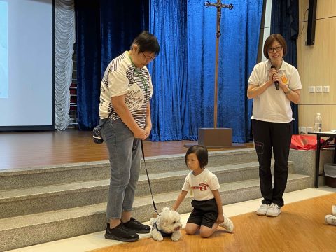 幼稚園K2主題學習活動 - 5