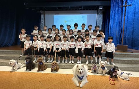 幼稚園K2主題學習活動 - 6