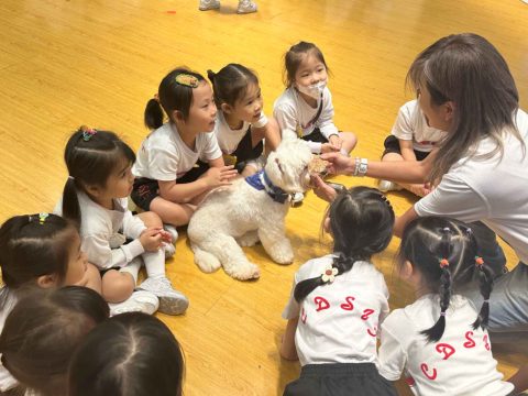 幼稚園K2主題學習活動 - 7