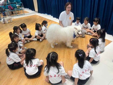 幼稚園K2主題學習活動 - 8