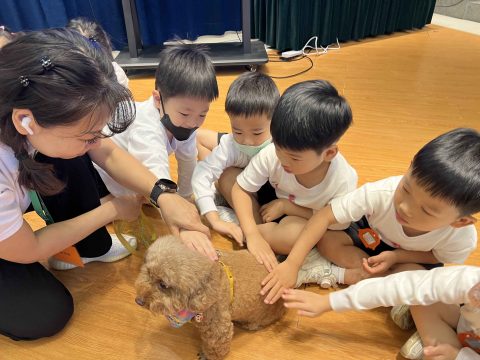 幼稚園K2主題學習活動 - 10