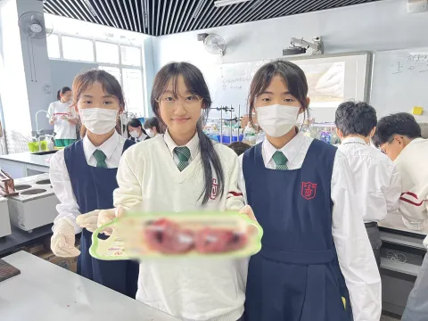 “豬心解剖”實驗課 - 5