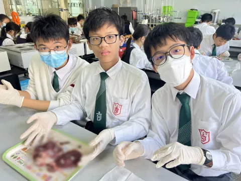 “豬心解剖”實驗課 - 6