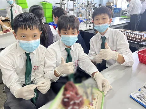 “豬心解剖”實驗課 - 7