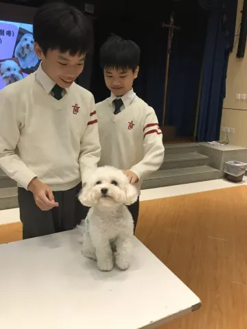 「秋冬潤物暖人心 —— 寵愛互動」活動 - 2