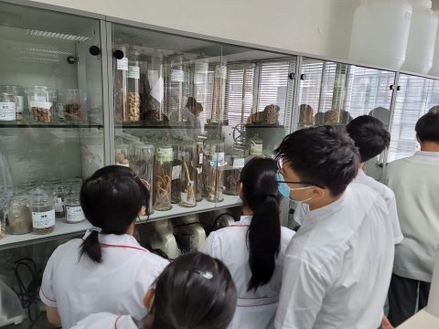 「職業放大鏡」參觀活動（中學部） - 5
