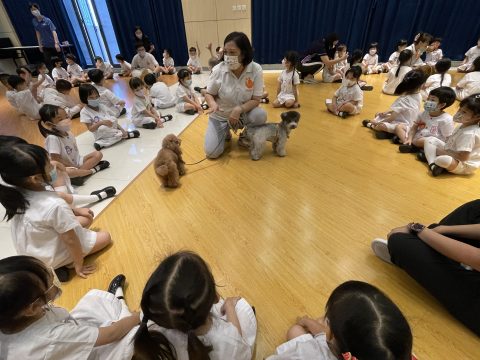 動物福利會到訪幼稚園 - 4