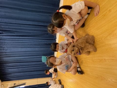 動物福利會到訪幼稚園 - 5