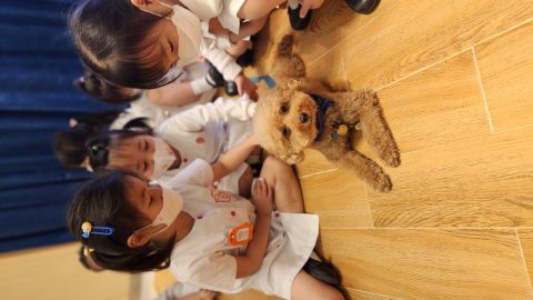 動物福利會到訪幼稚園 - 8