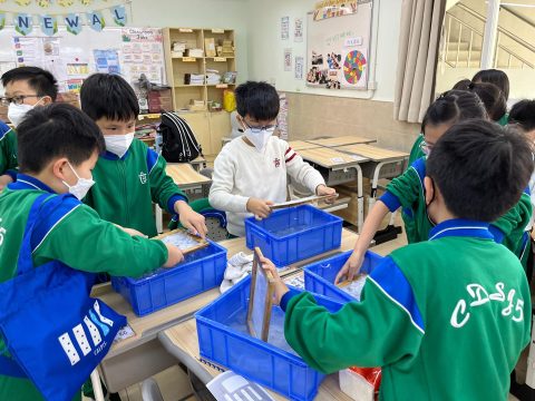 小學英文部學科主題活動日 - 3