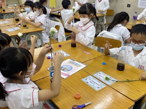 小二常識科- 鮮花染色小實驗 - 1