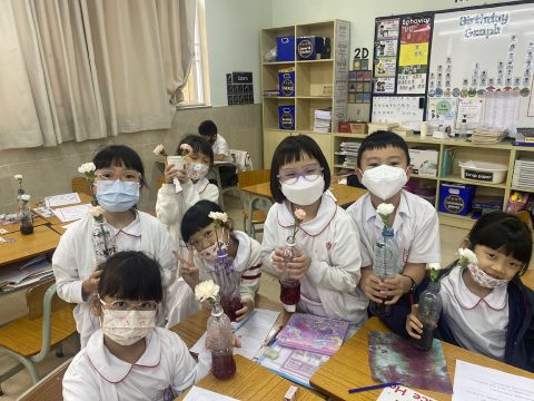 小二常識科- 鮮花染色小實驗 - 2