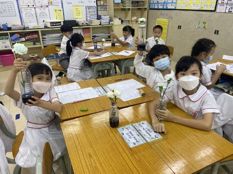 小二常識科- 鮮花染色小實驗 - 4