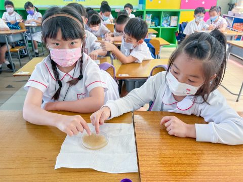 小二常識科實驗 - 1