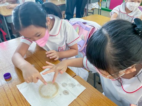 小二常識科實驗 - 2