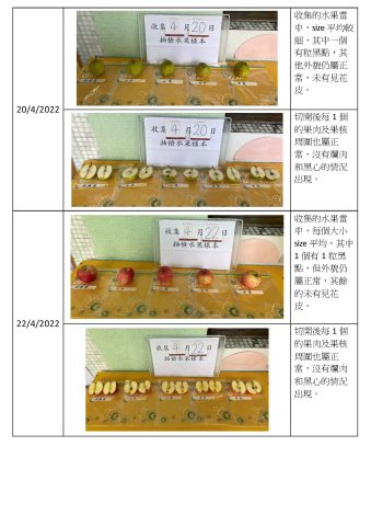 2021-2022 學年-學生午膳篇(水果記錄) - 2