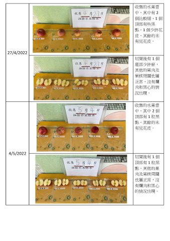 2021-2022 學年-學生午膳篇(水果記錄) - 3