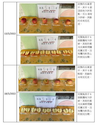 2021-2022 學年-學生午膳篇(水果記錄) - 4