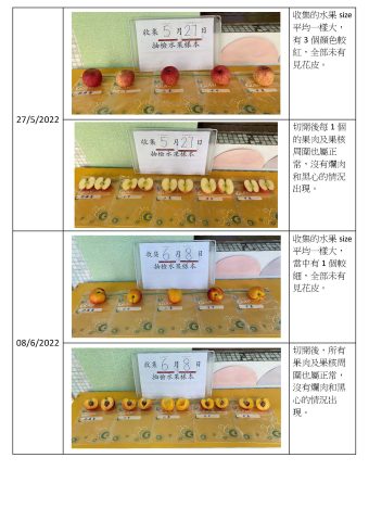 2021-2022 學年-學生午膳篇(水果記錄) - 5