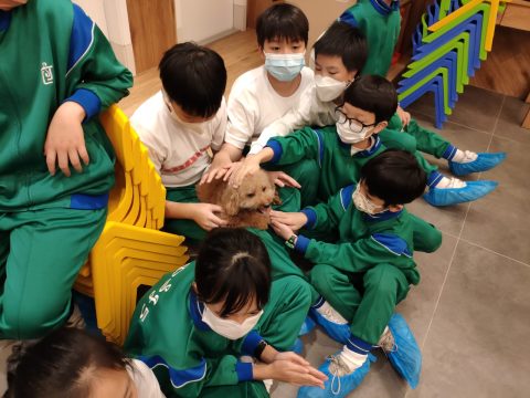 義工探訪動物 - 2