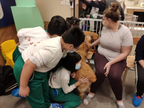 義工探訪動物 - 3