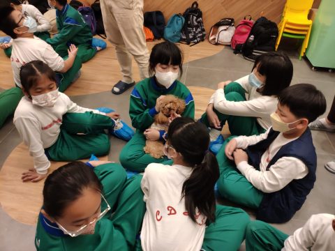 義工探訪動物 - 4