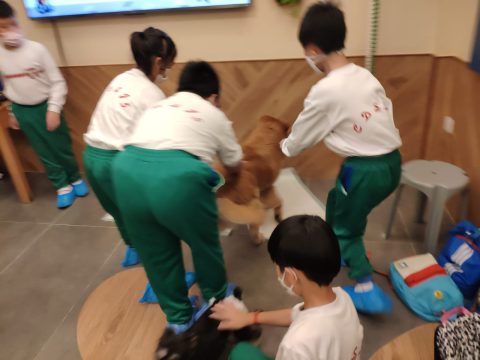 義工探訪動物 - 6