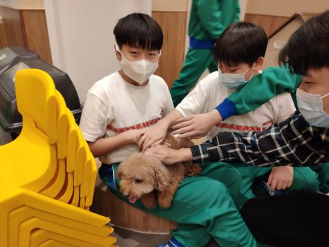 義工探訪動物 - 7