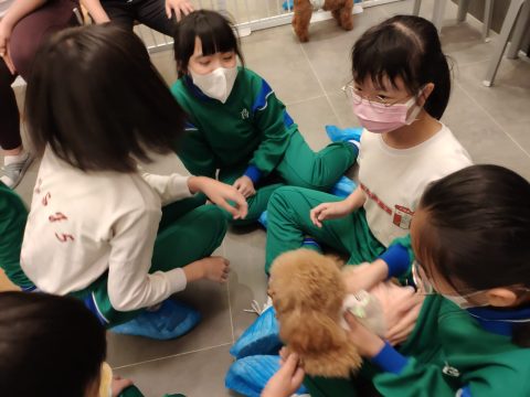 義工探訪動物 - 10