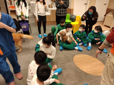 義工探訪動物 - 12