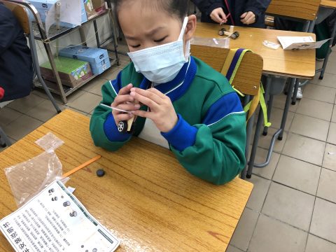 小學中文部常識科活動──小小科學家 - 10