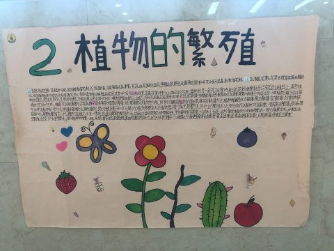 常識科專題研習海報設計活動 - 4