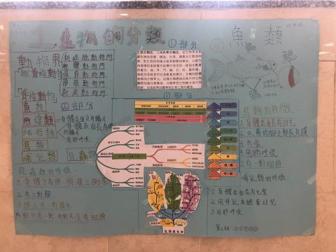 常識科專題研習海報設計活動 - 5