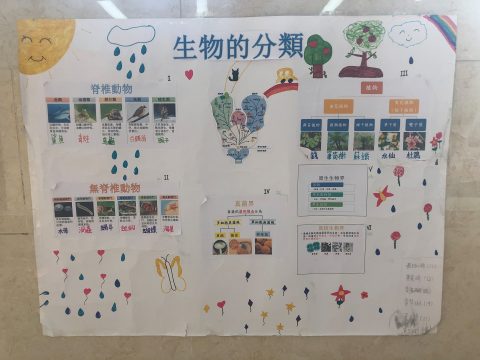 常識科專題研習海報設計活動 - 7