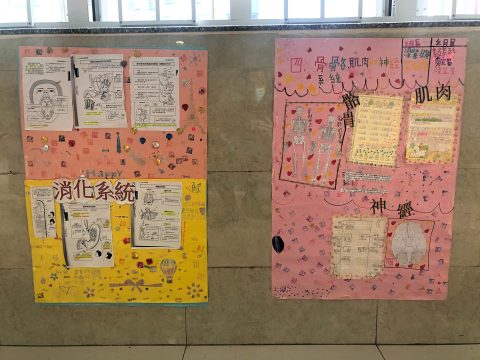 常識科專題研習海報設計活動 - 8