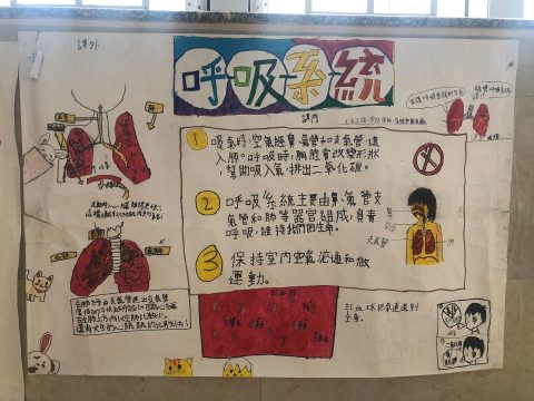 常識科專題研習海報設計活動 - 9