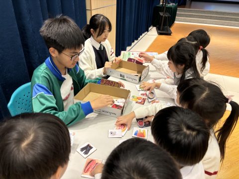 幼稚園K3環保攤位遊戲 - 7