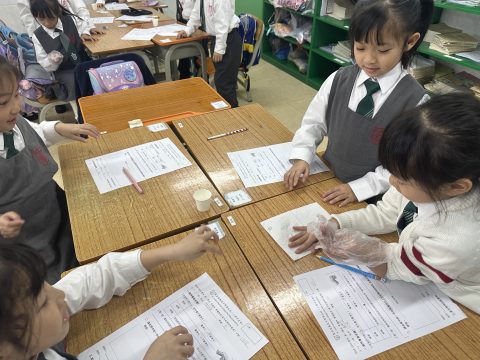 常識初小課堂活動（小學部） - 2