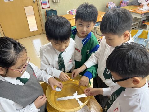 常識初小課堂活動（小學部） - 9