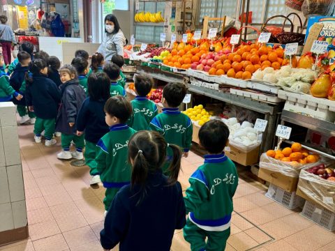 幼稚園主題方案外出參觀 - 4