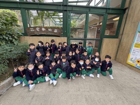 幼稚園主題方案外出參觀 - 6