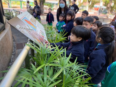 幼稚園主題方案外出參觀 - 9